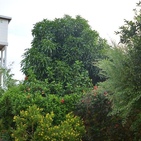 Bed and Breakfast Chez Sabine Abomey Экстерьер фото